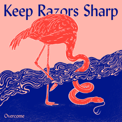 Cover image for Overcome