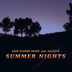 Cover image for Summer Nights