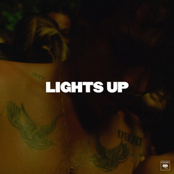 Cover image for Lights Up