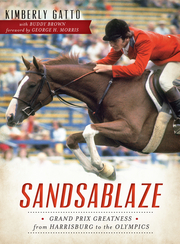 Link to Sandsablaze by Kimberly Gatto in Freading