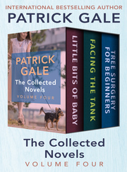 The Collected Novels Volume Four