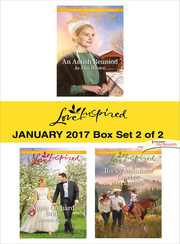 Harlequin Love Inspired January 2017-Box Set 2 of 2