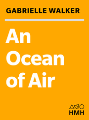 An Ocean of Air