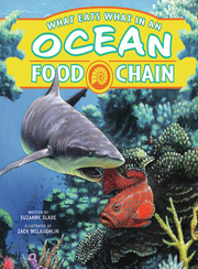 What Eats What in an Ocean Food Chain