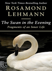The Swan in the Evening