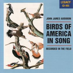 Cover image for Birds Of America In Song