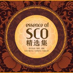 Cover image for Essence of SCO