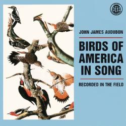 Cover image for Birds of America in Song