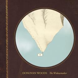 Cover image for The Widowmaker