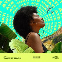 Cover image for Take It Back