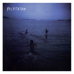 Cover image for Palpitation