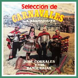Cover image for Selección de Carnavales