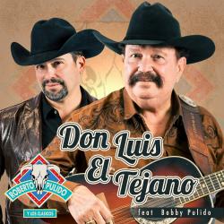 Cover image for Don Luis El Tejano
