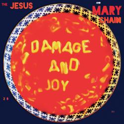 Cover image for Damage and Joy (Explicit)