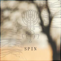 Cover image for Spin
