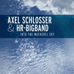 Cover image for Into the Mackerel Sky