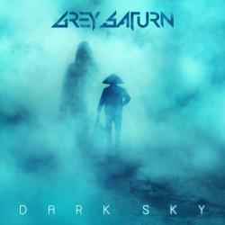 Cover image for Dark Sky