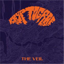 Cover image for The Veil
