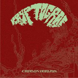 Cover image for Crimson Horizon