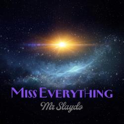 Cover image for Miss Everything