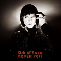 Cover image for Never Tell