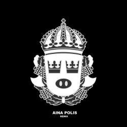 Cover image for Aina polis