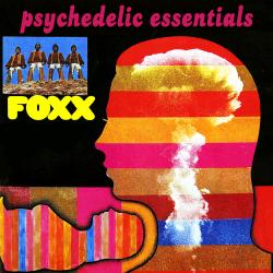 Cover image for Psychedelic Essentials