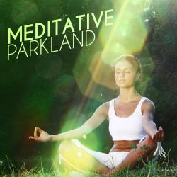Cover image for Meditative Parkland